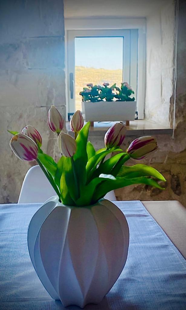 Mary Home Sicily Deluxe Ragusa Eksteriør billede